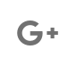 Google+